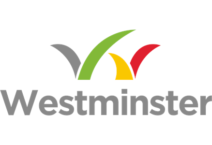 WESTMINSTER PRIMARY SCHOOL   FREE DELIVERY 