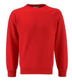 Rossmore Primary School Jumper