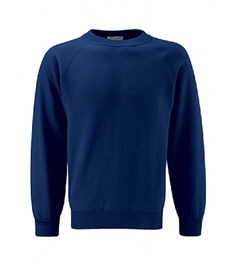 Raeburn Primary School Navy Jumper 