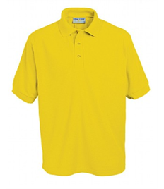 Brookside Primary School Gold Polo Shirt ( Nursery - Reception )