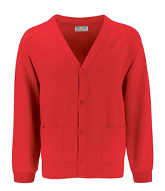 St Saviour’s primary school Cardigan