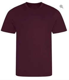 Christ church Maroon PE Tee Shirt