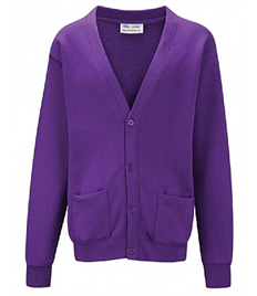 William Stockton primary school Purple Cardigan ( Year 6 )