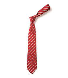 Rossmore Primary School Tie