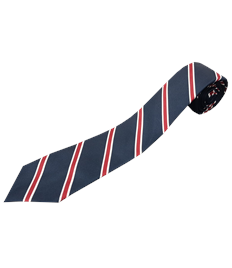 Whitby High House Coloured Ties