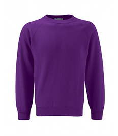 William Stockton primary school Purple jumper ( Year 6 )