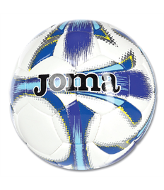 JOMA DALI TRAINING BALL