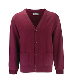 Christ Church Primary School Cardigan